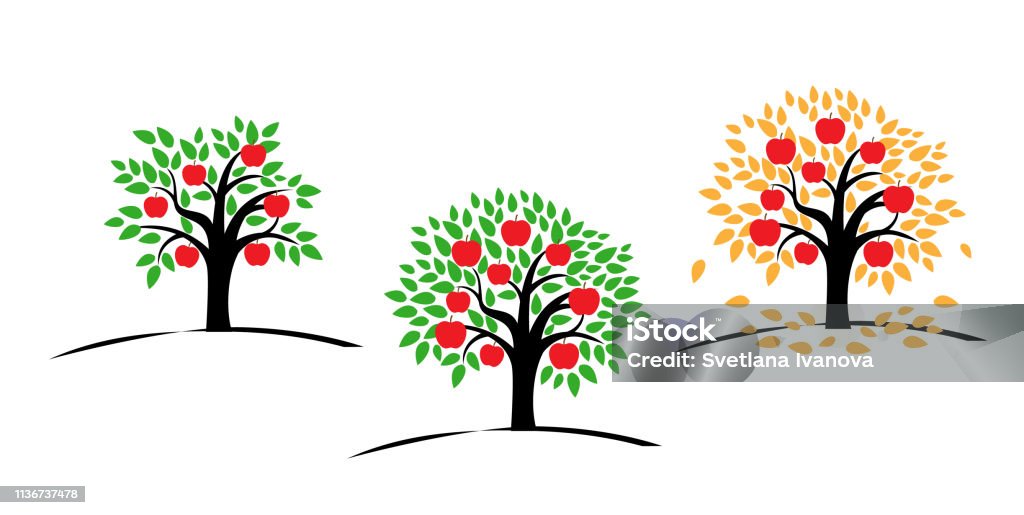 Orange or tangerine tree with green leaves. Orange or tangerine tree with green leaves. Vector illustration of a tree with ripe orange. Flat style. Three Objects stock vector