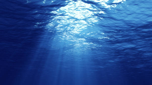 istock 3D rendering of underwater light creates a beautiful solar curtain. Underwater ocean waves oscillate and flow with the rays of light 1136746527
