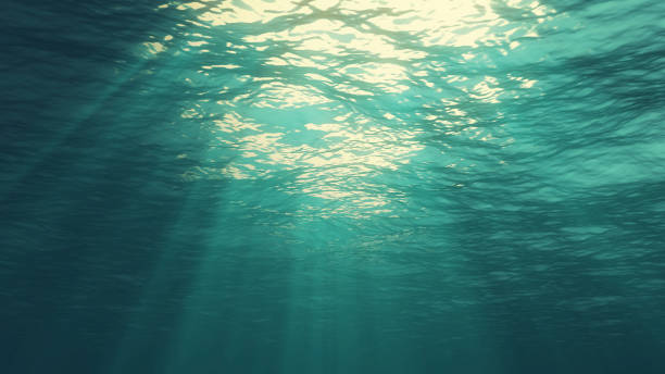 istock 3D rendering of underwater light creates a beautiful solar curtain. Underwater ocean waves oscillate and flow with the rays of light 1136746604