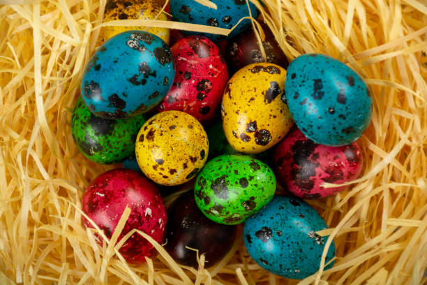 Easter eggs in the nest