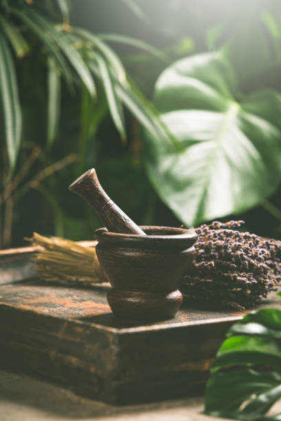 Mortar and pestle on green tropical leaves background