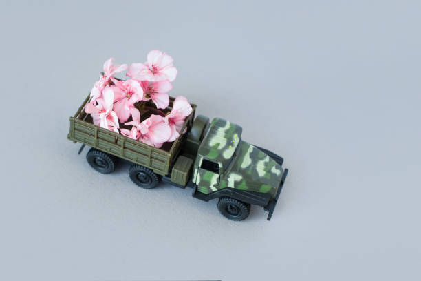war machine with a flower in the back, peace and war, military action, a flower in the barrel of a tank, a concept on the army, free space, copy space, space for text, victory day, may 9, world war. máquina de guerra con una flor en la espalda, la paz y la guerra, la acción militar, una flor en el barril de un tanque, un concepto en el ejército, espacio libre, espacio de copia, espacio para el texto, el día de la victoria, mayo 9, la guerra mundia