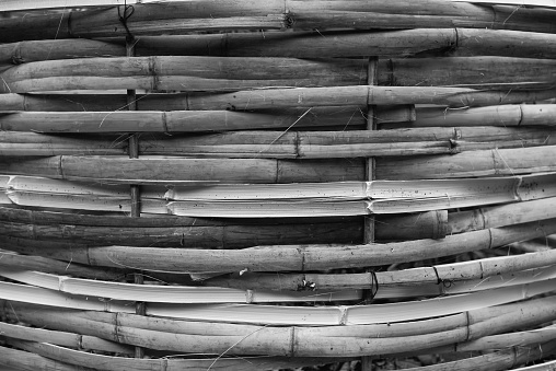 Bamboo fence layer background