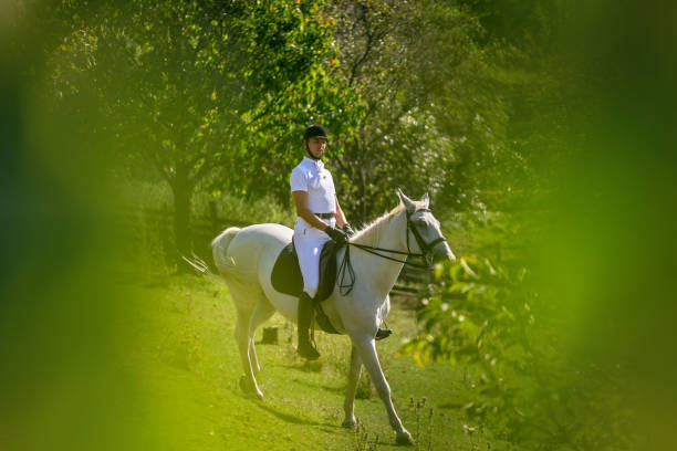 istock Man riding trotting horse in nature 1136753687