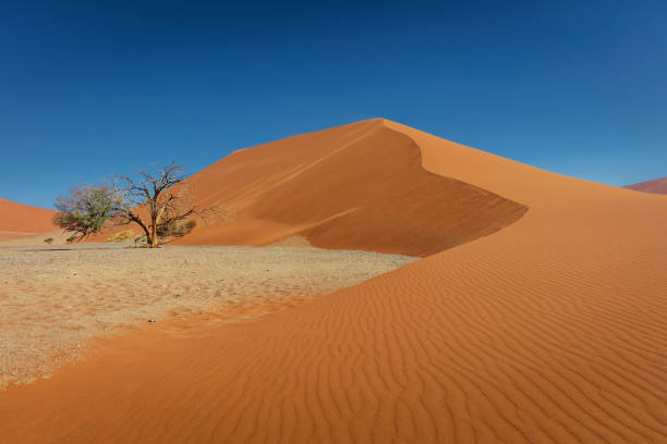 istock Namibia Sand Dune 45 Desert Panorama Sesriem 1136755730