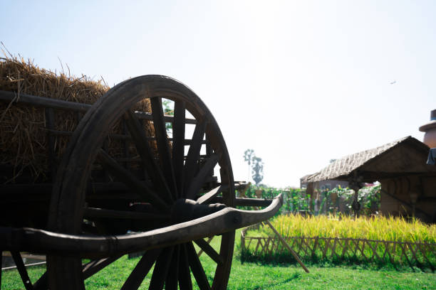 Old wooden cart at in the fields