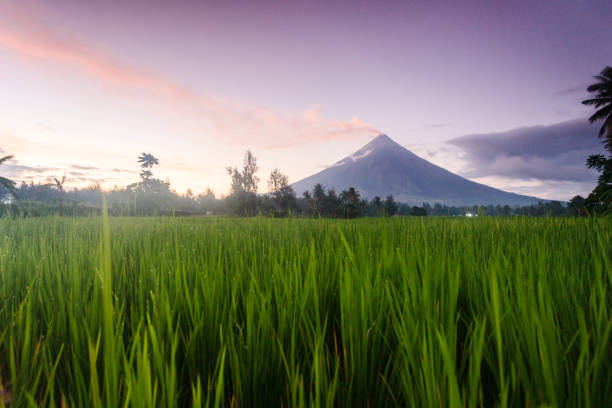 le volcan mayon-volcan actif levant 2 462 mètres, connu comme le volcan le plus parfaitement en forme de cône - bicol photos et images de collection