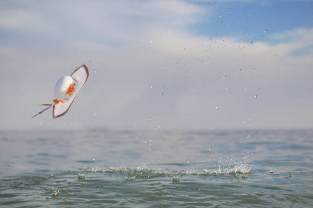 istock Flying hat on the background of the sea 1136757072