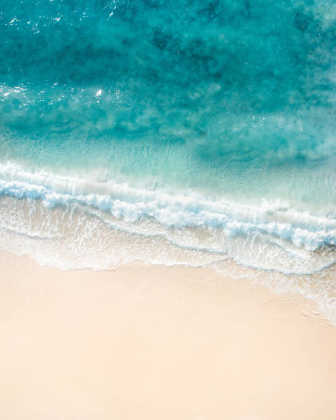 Beach scenes on the Gold Coast