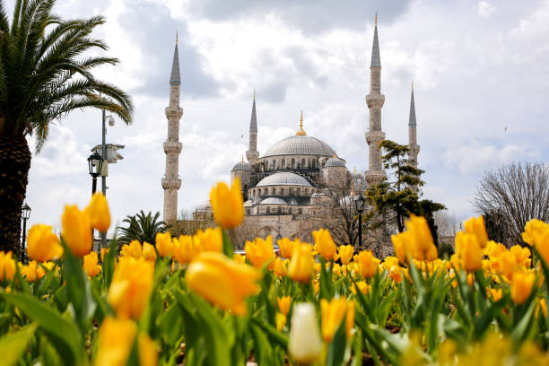 istock The Blue Mosque of Sultan Ahmet 1136761341