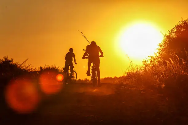 Silhouette of mountain bikers