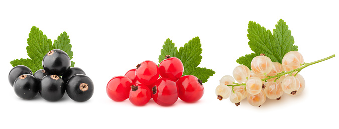Fruit: Red Currant Isolated on White Background