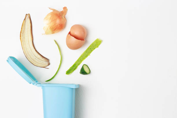 istock organic waste and dumpster on a white background, the concept of garbage sorting 1136764517