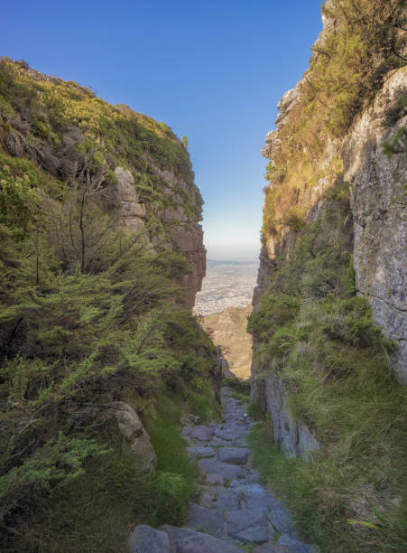 istock Platteklip Gorge hiking path view from the top of Table Mountain 1136768342