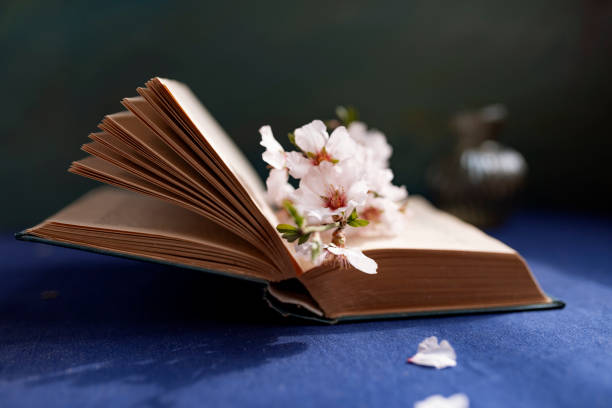 istock Spring beautiful flowers placed between the pages of an old book. Selective focus 1136771322