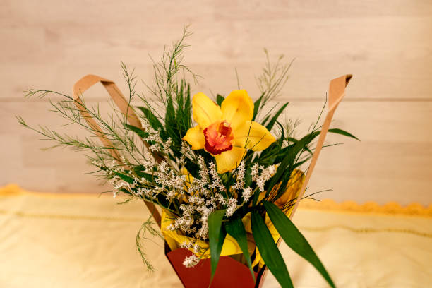 istock Beautiful yellow orchid for a gift 1136771324