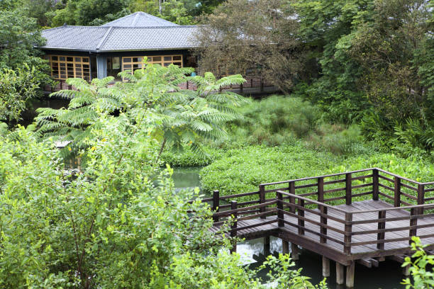 istock Hualien;Fata'an;wetland 1136771490