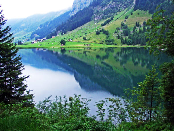istock Mountain lake Golzerensee or Bergsee Golzernsee 1136773688