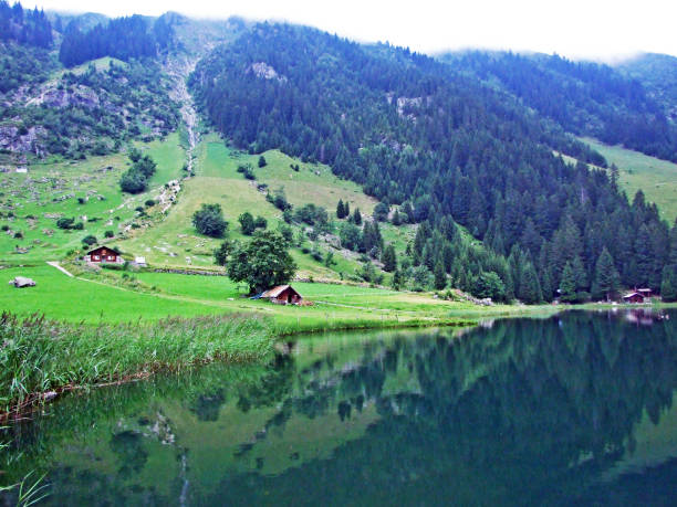 istock Mountain lake Golzerensee or Bergsee Golzernsee 1136773736