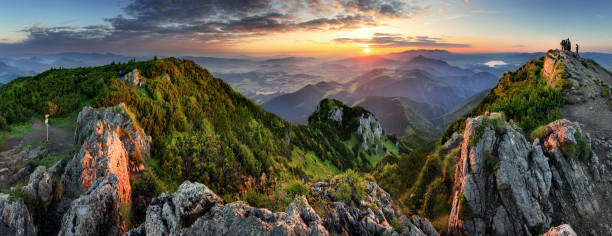 valle di montagna durante l'alba. paesaggio estivo naturale in slovacchia - carpathian mountain range foto e immagini stock