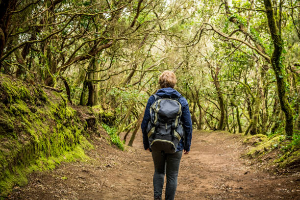 istock Woman exploring a beautiful Laurel Forest 1136774577