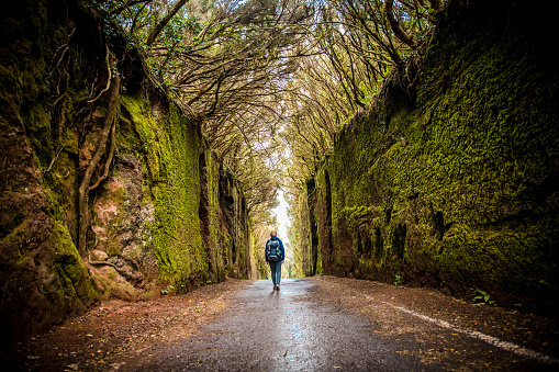 Woman exploring green laurel forest tunnel road