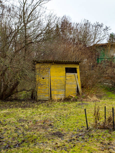 istock Old broken village toilet at spring day. 1136774715