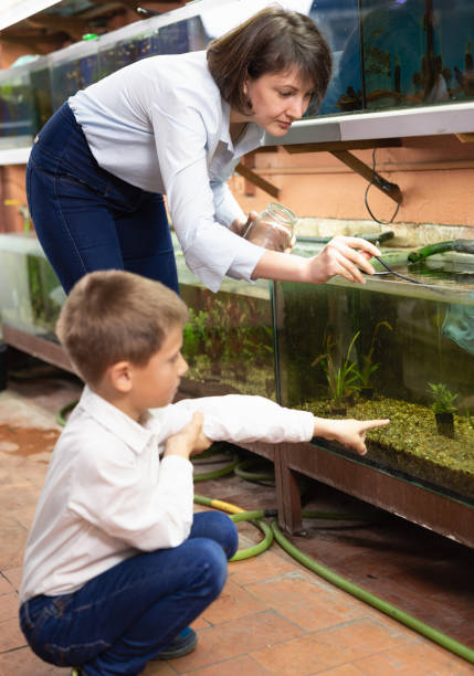 istock Saleswoman catching fish for customer 1136776062