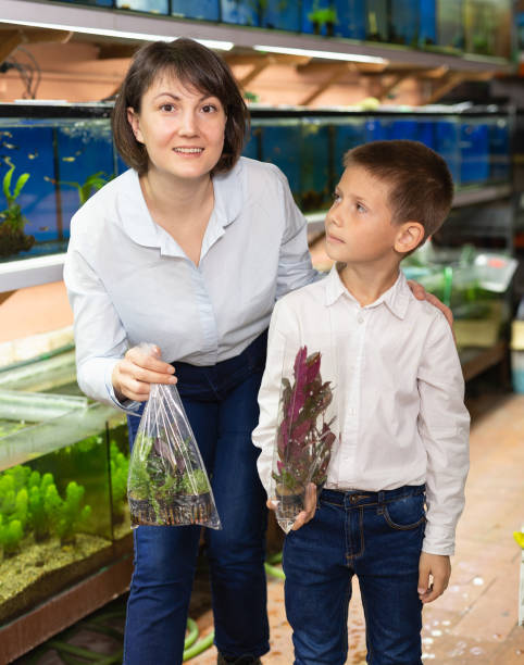 istock Woman with son buying aquatic plants 1136776063