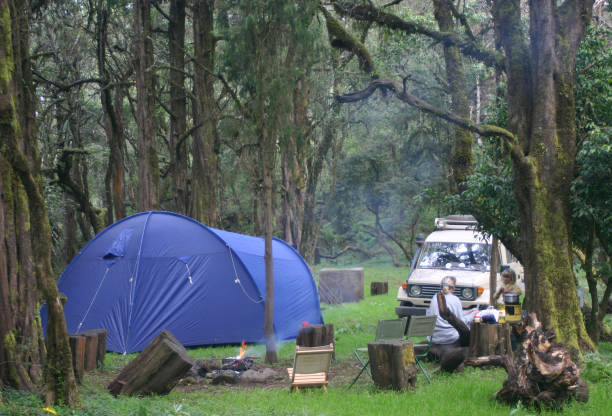 istock Forest Campsite with Mother and Girl 1136776150