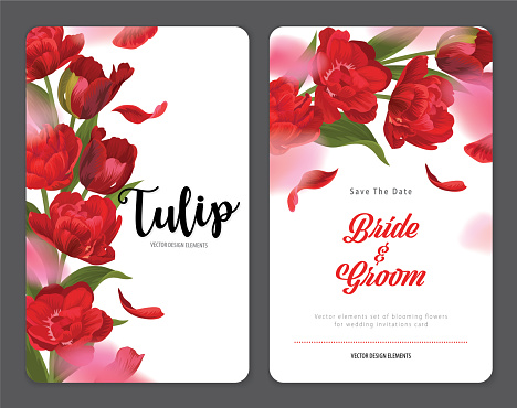 Blooming beautiful red tulip flowers background template. Vector set of blooming floral for wedding invitations, greeting card, voucher, brochures and banners design.