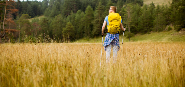 istock Young hiker enjoys a sunny day on the mountain 1136778505