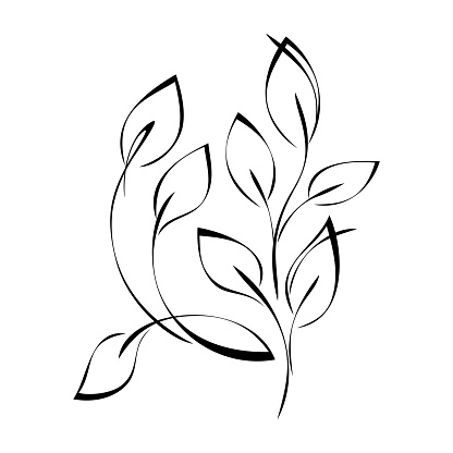 stylized twigs with leaves in smooth black lines on white background