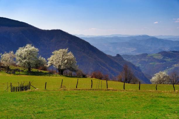 istock Stunning mountain scenery in spring in Europe 1136778972