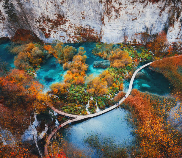 Beautiful landscape in Plitvice Lake, Croatia Beautiful view with wooden trekking path, autumn colors trees, lakes and waterfall landscape in Plitvice Lakes in Croatia croatian culture photos stock pictures, royalty-free photos & images