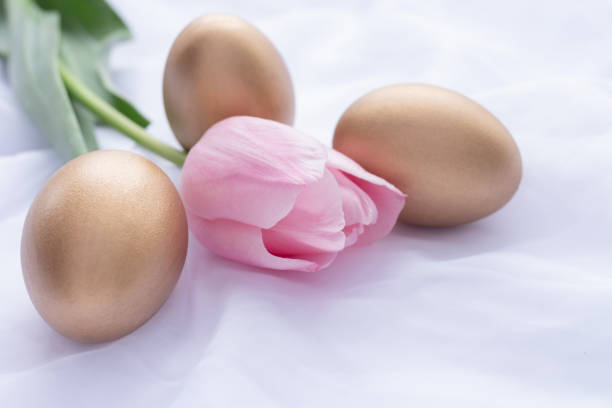 istock Three golden Easter eggs and pink tulip laying on white fresh linen 1136780841