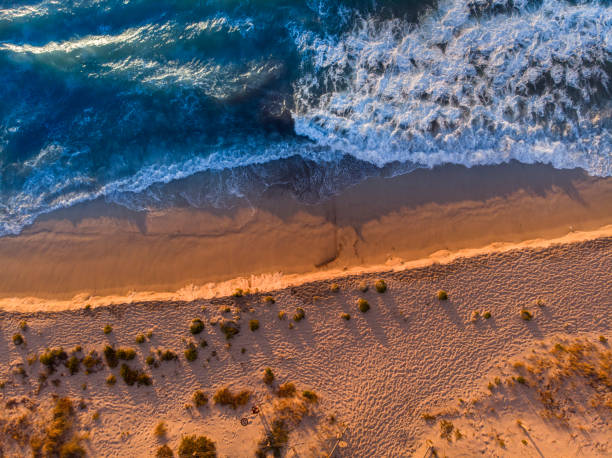 석양에 있는 노스 코 슬로 비치의 조감도. - coastline beach australia sea 뉴스 사진 이미지