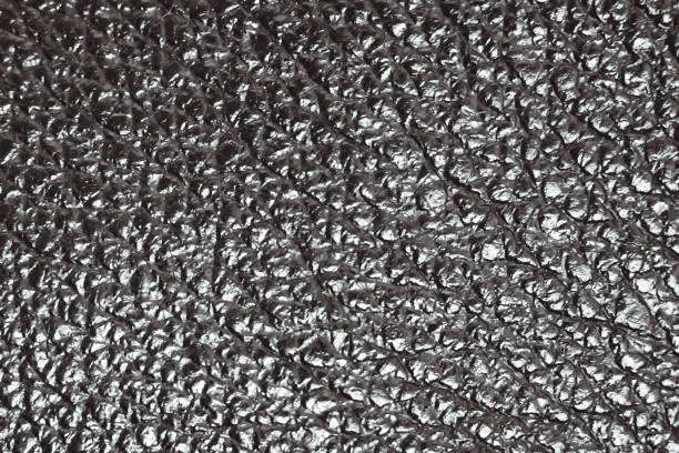 istock the texture of the skin 1136784298