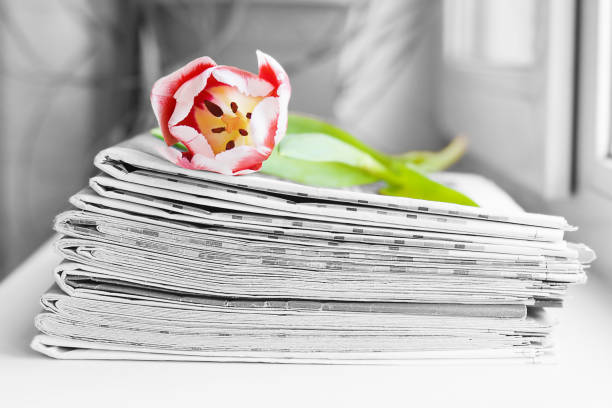 Stack of Newspapers and Tulip. Journals and Magazines stacked in Pile and Spring Flower. Concept for Bright and Happy News