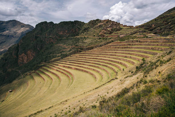 istock Agricultural terraces in Pisac, Peru 1136789526