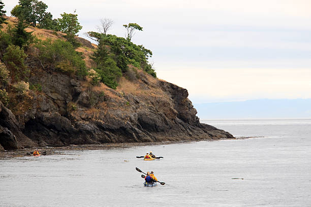 istock Kayaking in the Puget Sound 113679151