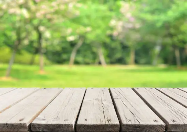 Photo of Empty Wooden Platform And Spring Forest Blur Abstract Background