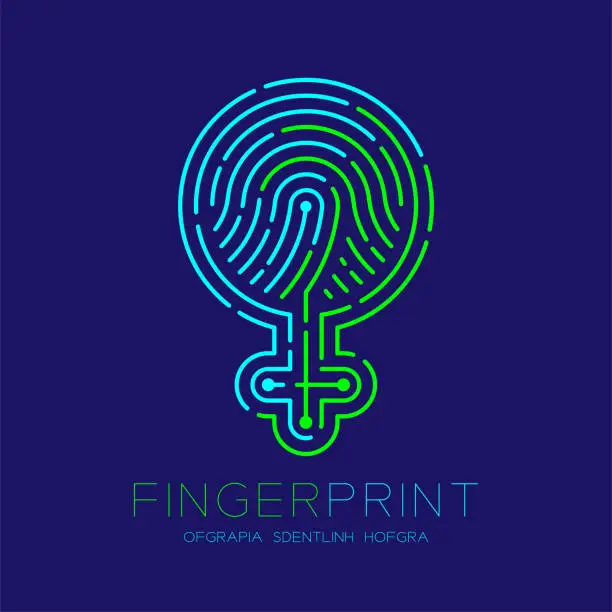 Vector illustration of Women sign pictogram pattern Fingerprint scan logo icon dash line, female gender concept, Editable stroke illustration blue and green isolated on blue background with Fingerprint text, vector