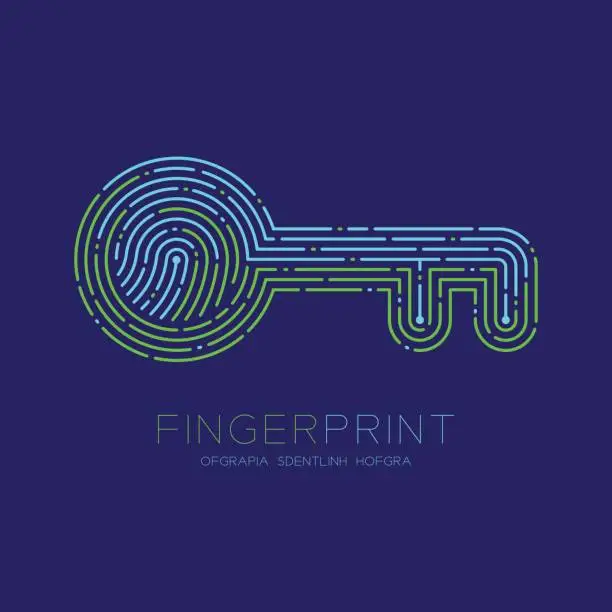 Vector illustration of Key shape pattern Fingerprint scan logo icon dash line, Security privacy concept, Editable stroke illustration blue and green isolated on blue background with Fingerprint text and space, vector