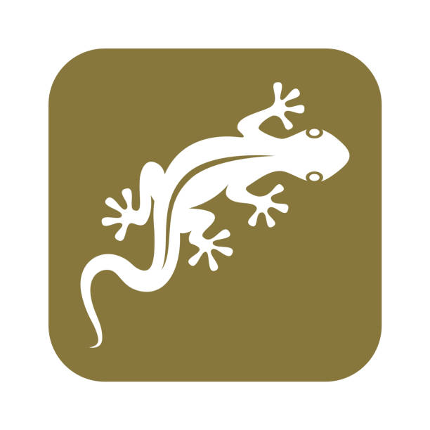 Gecko Sign lizard. Isolated symbol gecko on white background. Icon flat design. Vector illustration chameleon icon stock illustrations