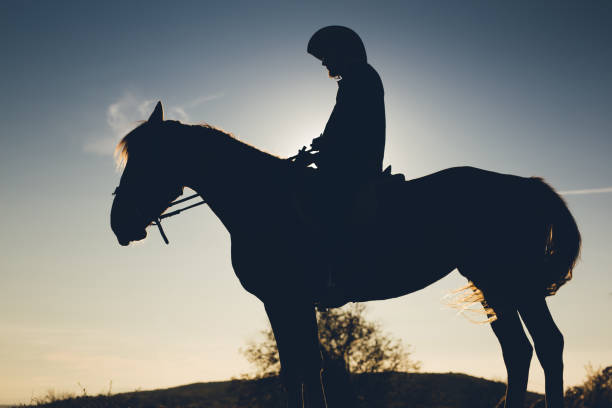 istock Silhouette of a man on horse 1136799275
