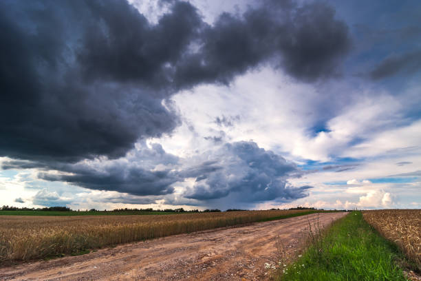 imagem de nuvens de tempestade escuras em lithuania - global warming flash - fotografias e filmes do acervo