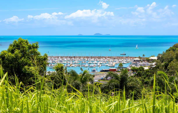 boat harbour near great barrier reef travel australia adventure cairns australia photos stock pictures, royalty-free photos & images