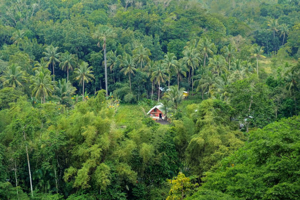 Beautiful landscape and traditional bamboo made house of jhuming cultivation in Tripura,India