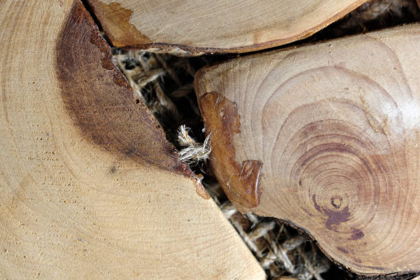 istock Background of old wooden plates 1136804637